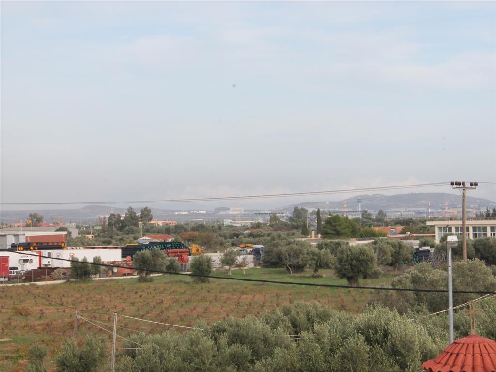 Propiedad comercial en Koropi, Grecia, 774 m² - imagen 12