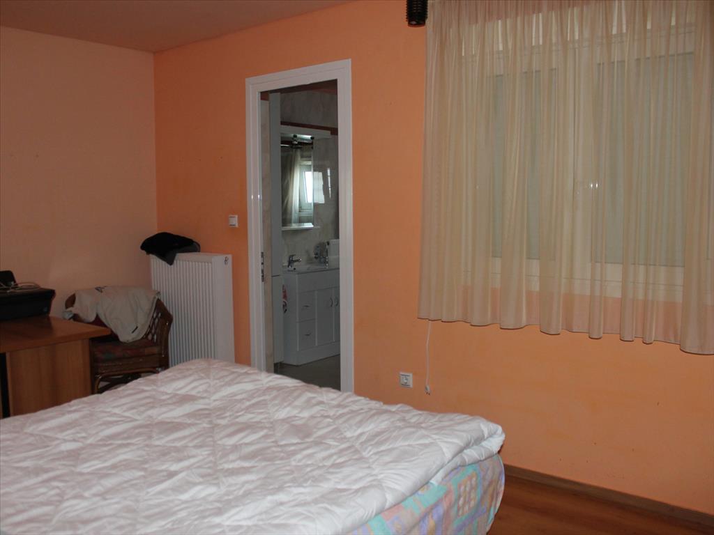 Propiedad comercial en Koropi, Grecia, 774 m² - imagen 11