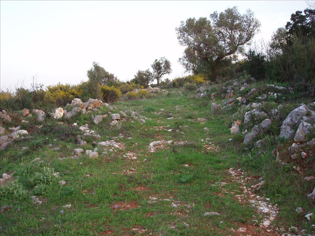 Terreno a Zacinto, Grecia, 8 300 m2 - foto 2