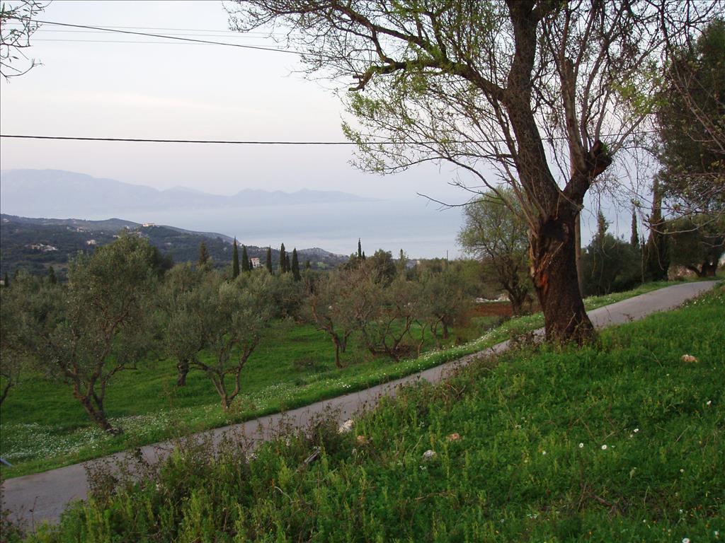 Terreno a Zacinto, Grecia, 8 300 m2 - foto 1