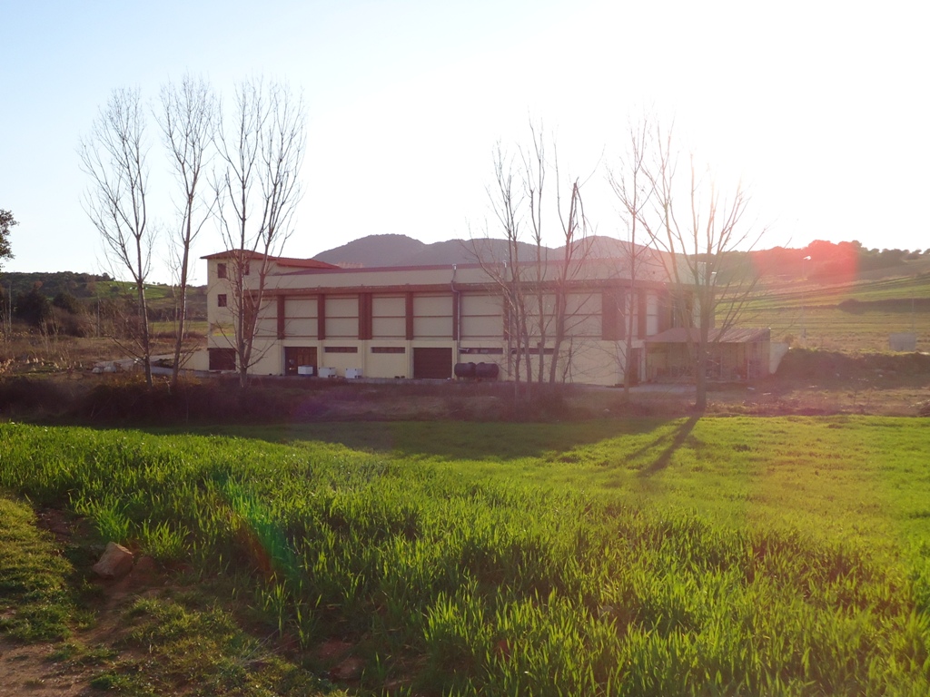 Commercial property in Chalkidiki, Greece, 1 375 m² - picture 2