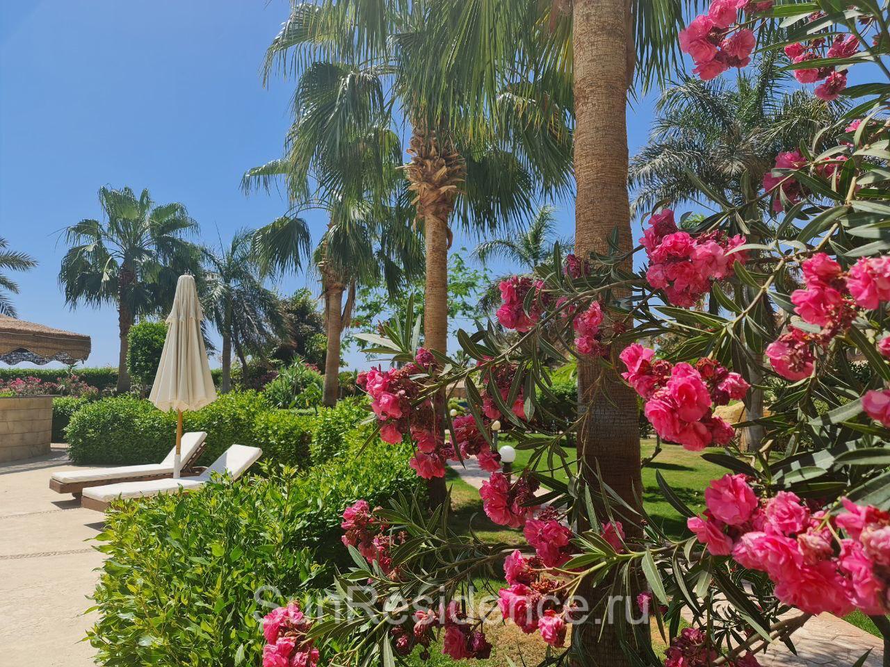 Flat in Sharm el-Sheikh, Egypt, 66 m² - picture 13