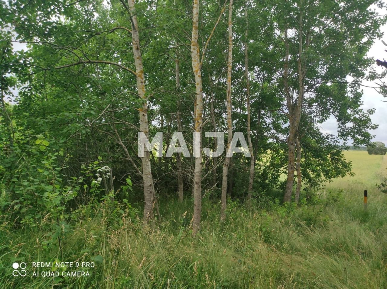 Terrain Ziemupe, Lettonie, 42 981 m² - image 5