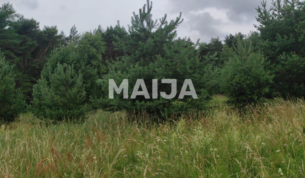 Terrain Ziemupe, Lettonie, 42 981 m² - image 6