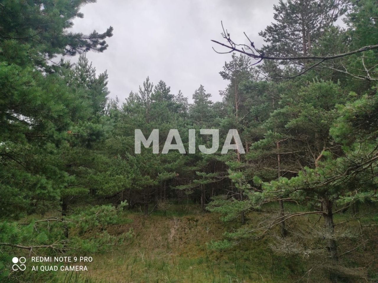 Terrain Ziemupe, Lettonie, 42 981 m² - image 7