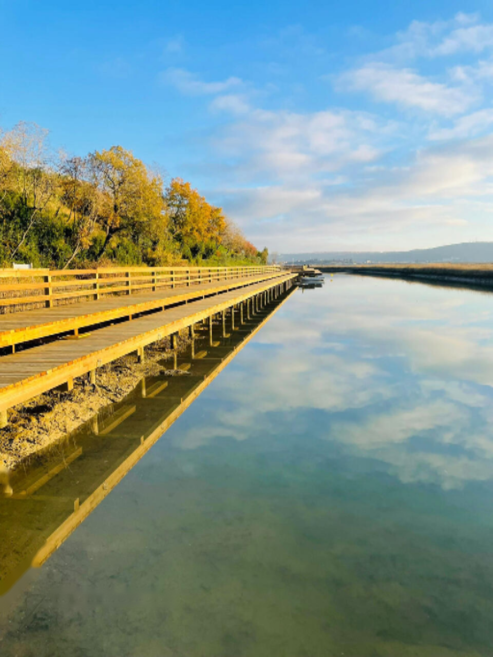 Appartamento a Pirano, Slovenia, 59 m² - foto 3