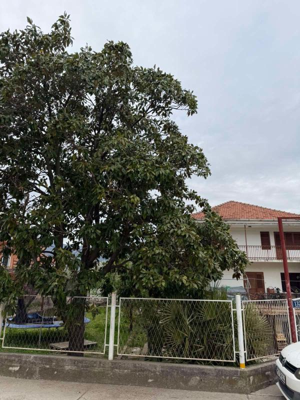 Maison Polje, Monténégro, 240 m² - image 2