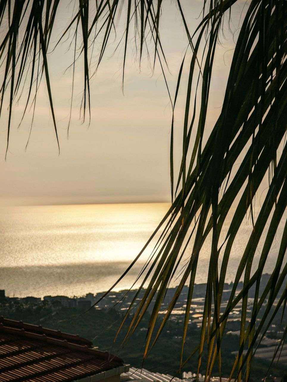 Villa in Alanya, Türkei, 300 m² - Foto 1