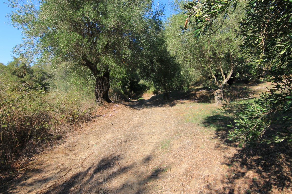 Terrain à Corfou, Grèce, 11 000 m² - image 1