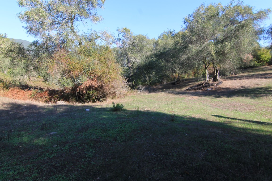 Terrain à Corfou, Grèce, 11 000 m² - image 3