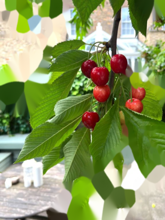 Appartamento a Londra, Regno Unito, 83 m² - foto 6