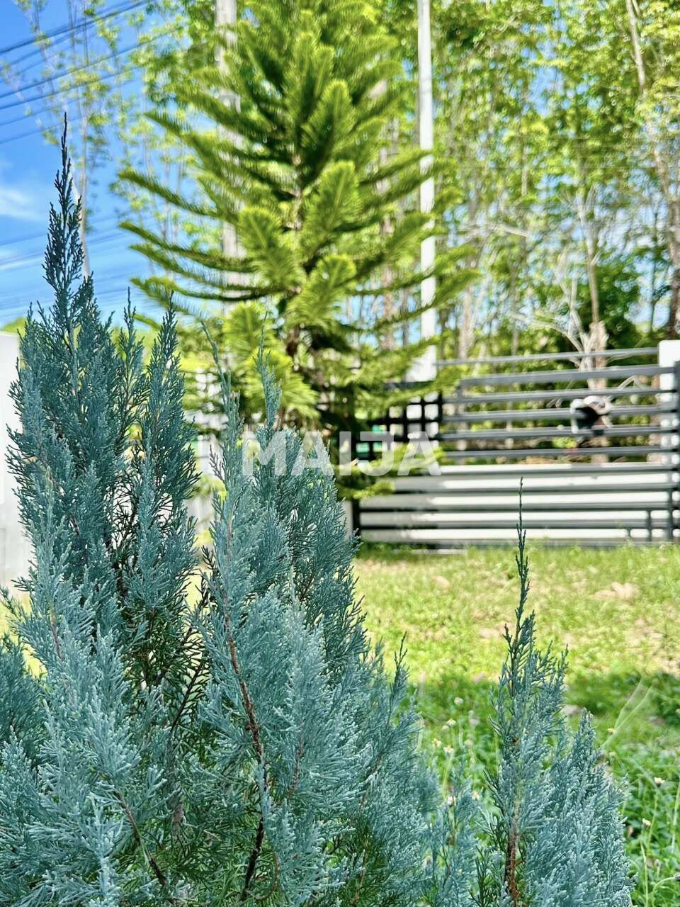 Villa sur l'île de Phuket, Thaïlande, 180 m² - image 16