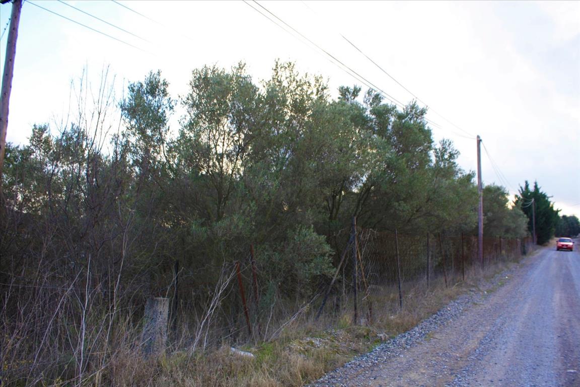 Haus in Thessaloniki, Griechenland, 130 m² - Foto 16