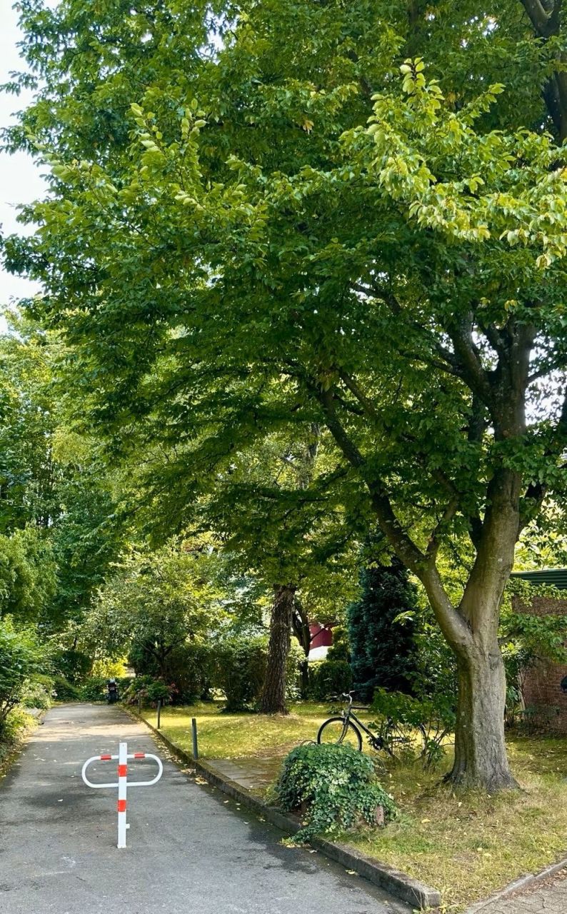 Piso en Essen, Alemania, 54 m² - imagen 6