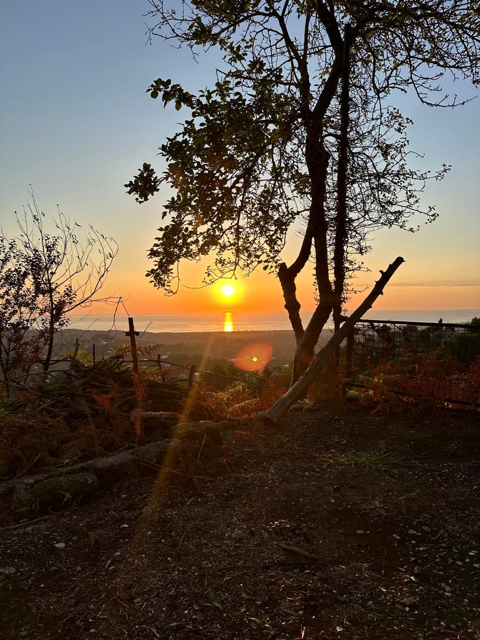 Grundstück in Munizipalität Kobuleti, Georgien, 3 333 m² - Foto 4