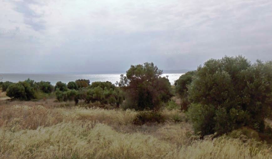 Land in Sithonia, Greece, 3 659 m² - picture 2