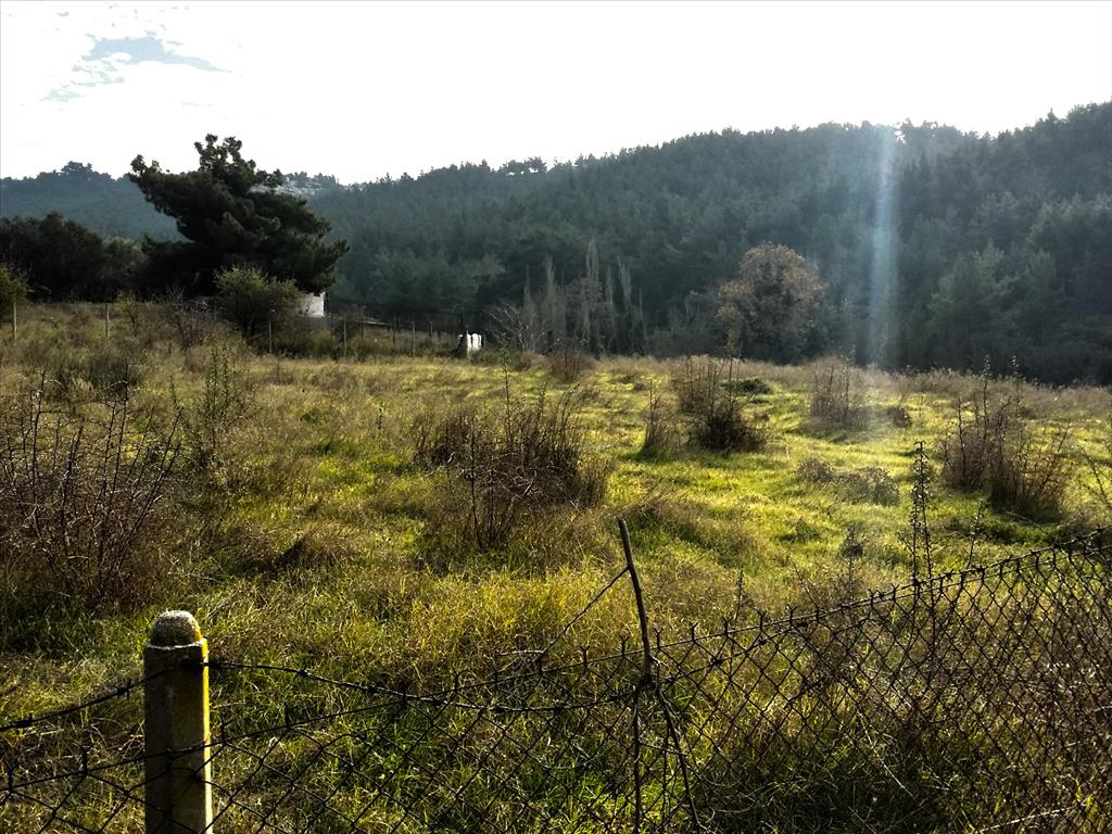 Grundstück in Thessaloniki, Griechenland, 5 274 m² - Foto 3