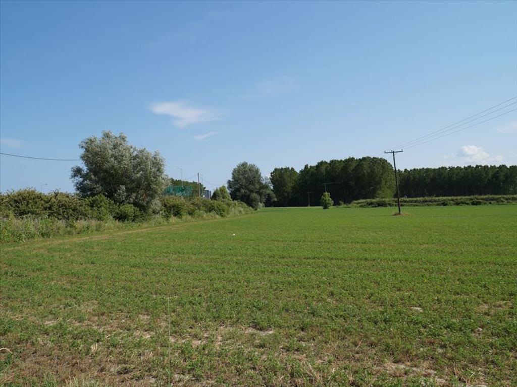 Grundstück in Olympiaki Akti, Griechenland, 43 500 m² - Foto 3