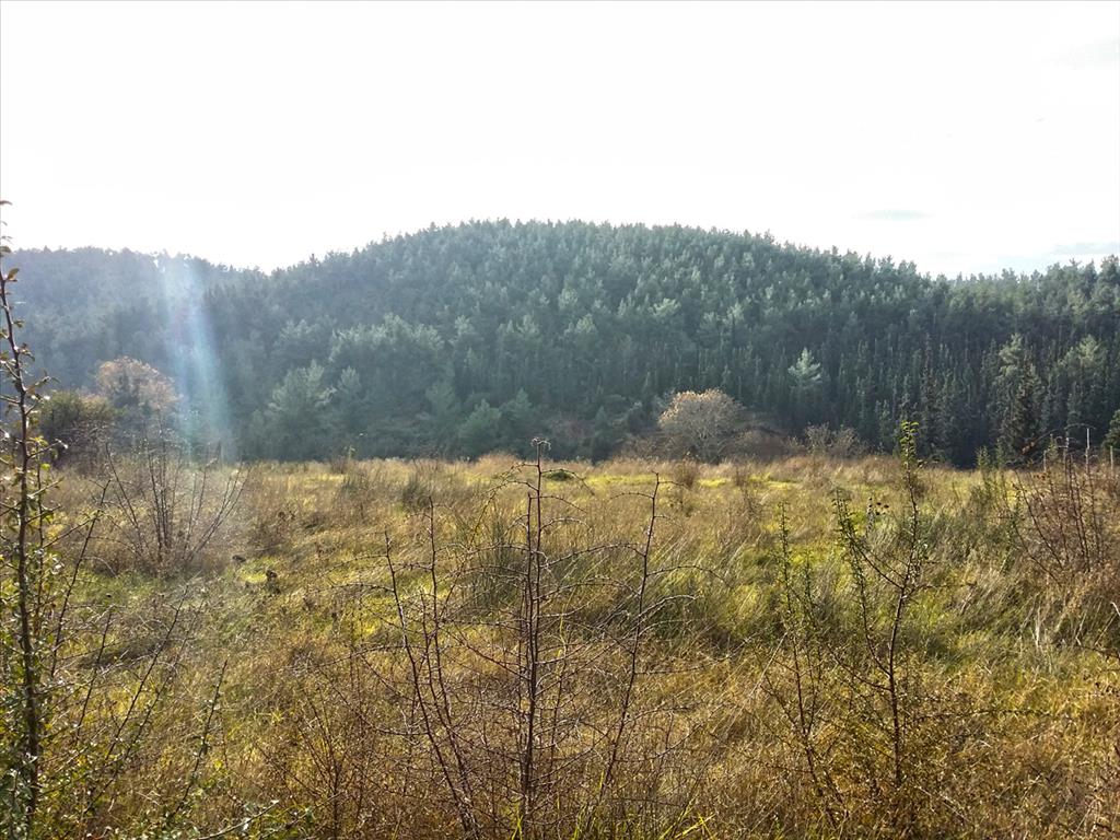 Grundstück in Thessaloniki, Griechenland, 5 274 m² - Foto 4