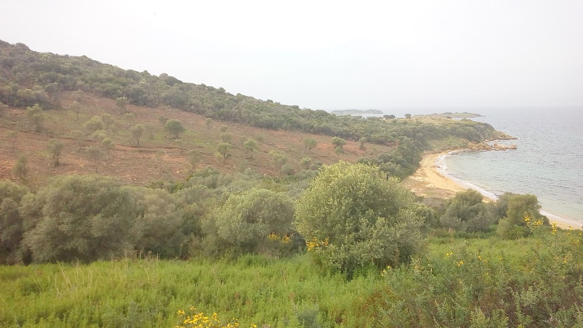 Terreno a Calcidica, Grecia, 12 000 m2 - foto 5