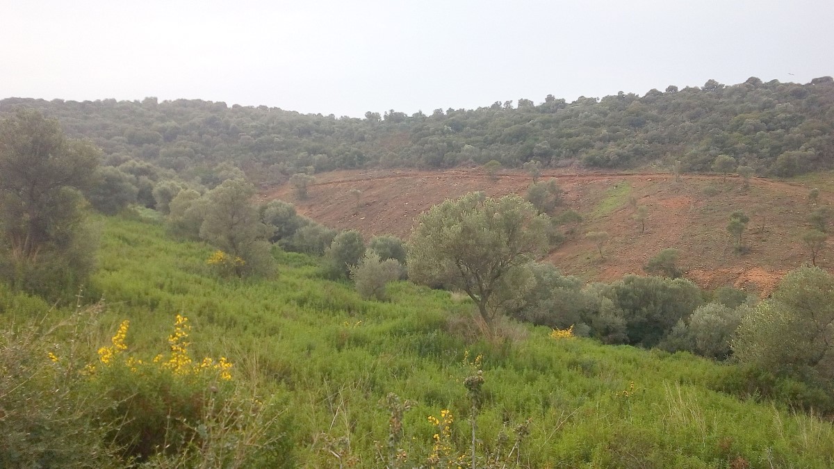 Terreno a Calcidica, Grecia, 12 000 m2 - foto 6