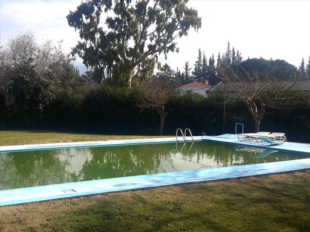 Haus in Attika, Griechenland, 500 m² - Foto 13