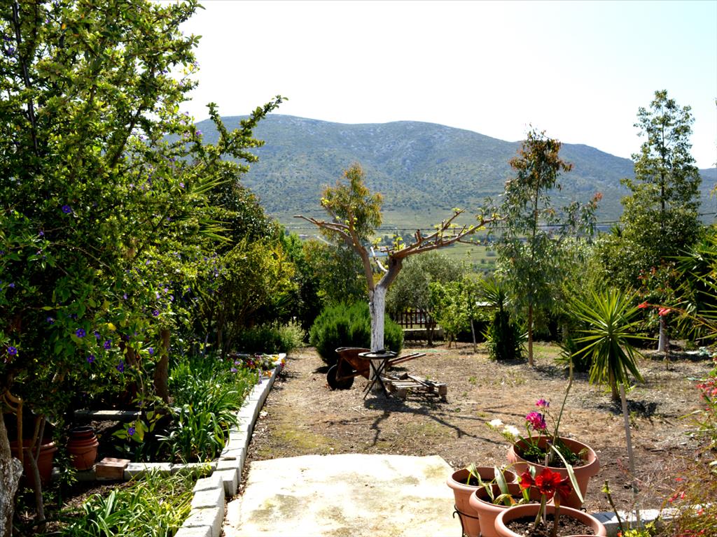 Casa en Ática, Grecia, 464 m² - imagen 14