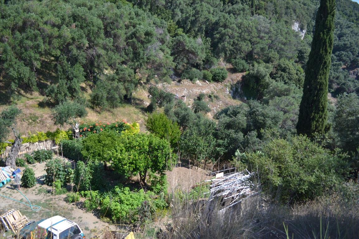 Land in Corfu, Greece, 4 450 m² - picture 2