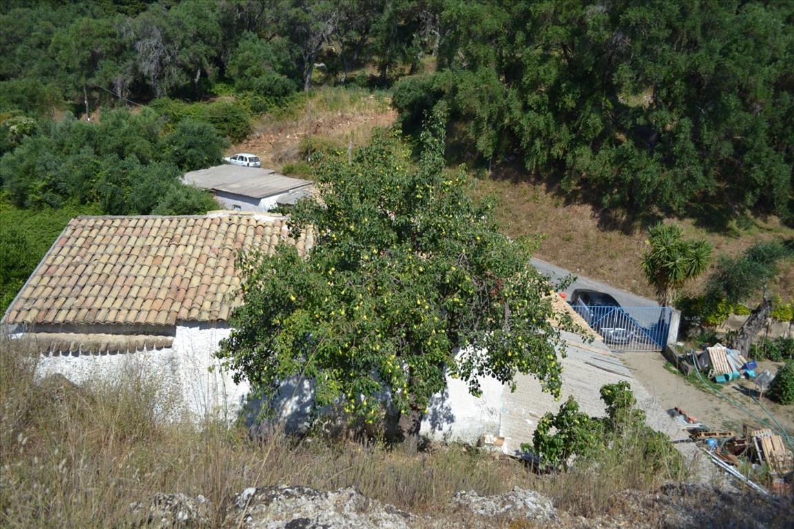 Land in Corfu, Greece, 4 450 m² - picture 3