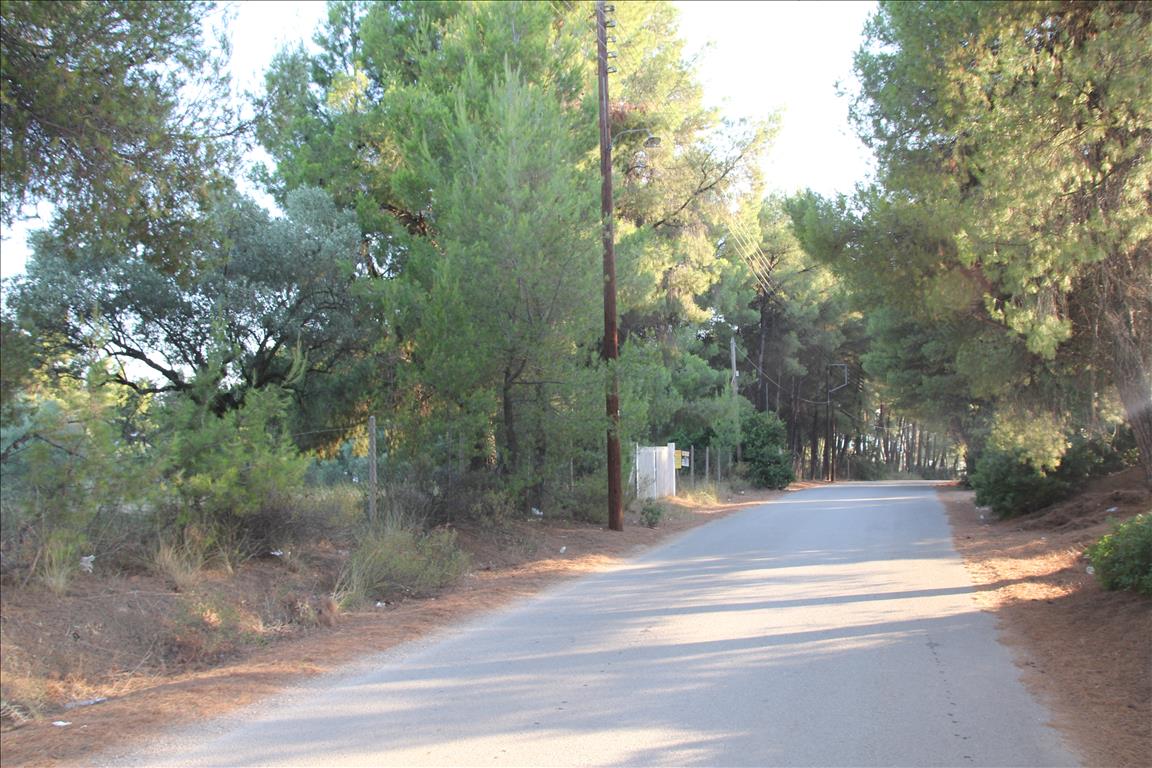 Terreno a Sithonia, Grecia, 3 600 m2 - foto 4
