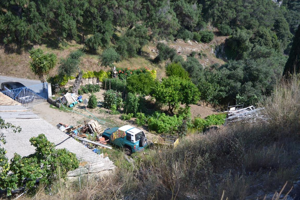 Land in Corfu, Greece, 4 450 m² - picture 6