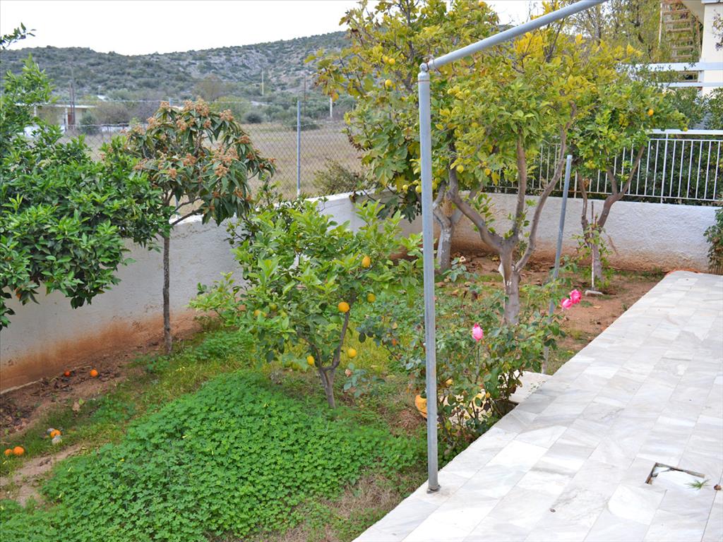 Haus in Attika, Griechenland, 70 m² - Foto 6