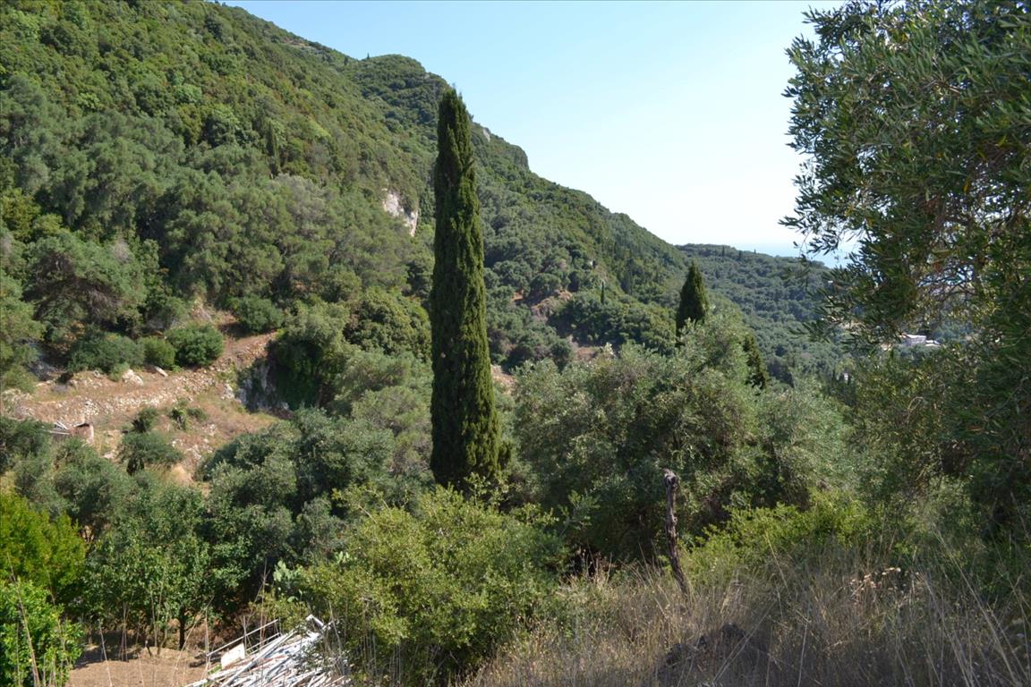 Land in Corfu, Greece, 4 450 m² - picture 7