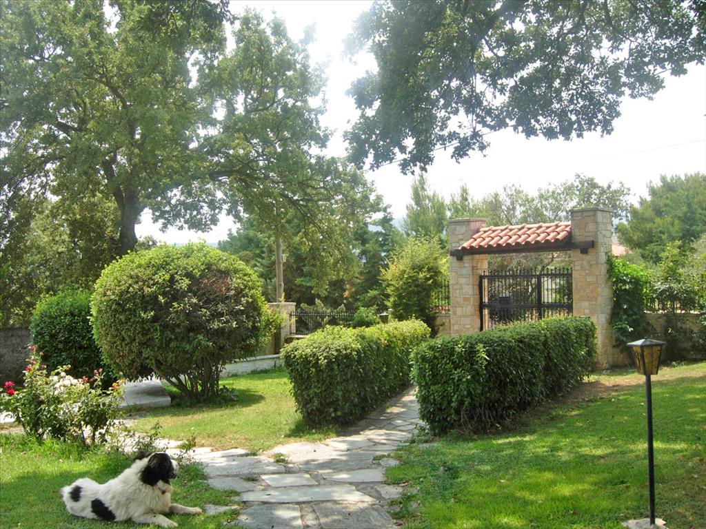 Maisonette in Attica, Greece, 400 m² - picture 10