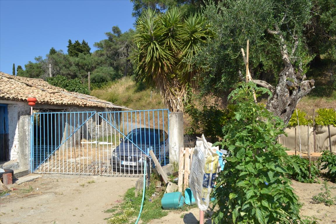 Land in Corfu, Greece, 4 450 m² - picture 10