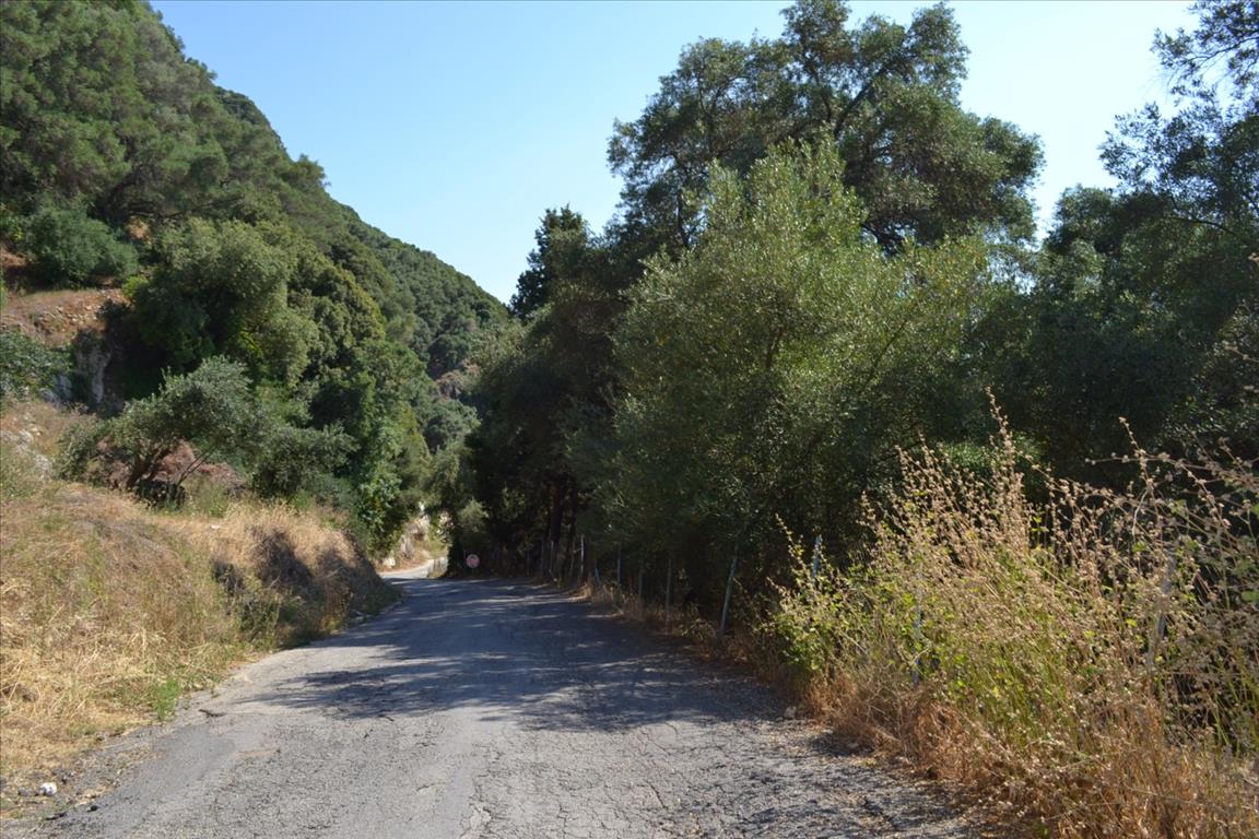 Land in Corfu, Greece, 4 450 m² - picture 12