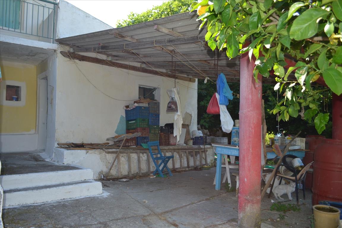 Land in Corfu, Greece, 4 450 m² - picture 13