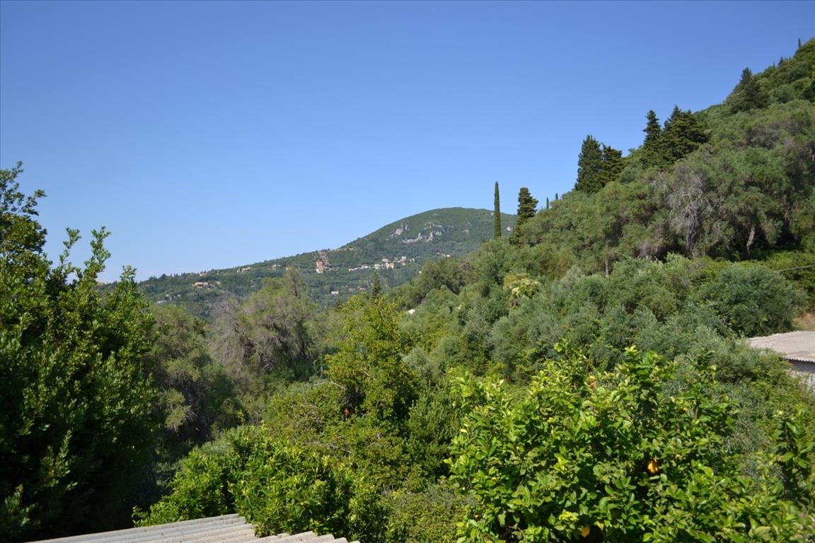 Land in Corfu, Greece, 4 450 m² - picture 15