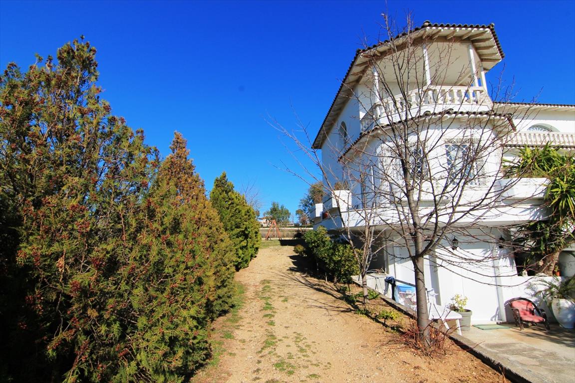 Villa in Thessaloniki, Greece, 500 m² - picture 17