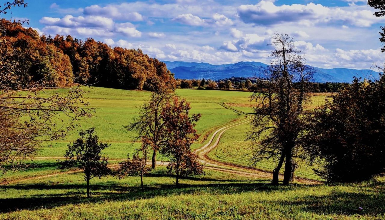 Terreno en Vrhnika, Eslovenia, 30 567 m² - imagen 8