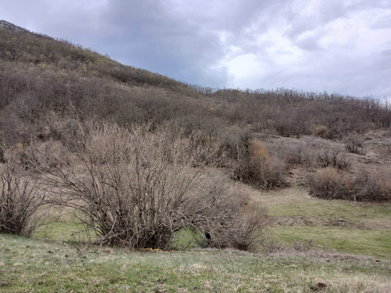 Terreno a Nikšić, Montenegro, 338 000 m2 - foto 4