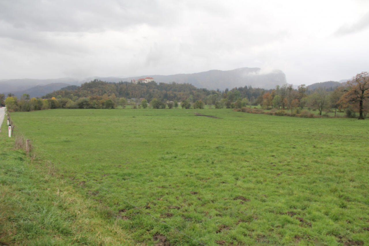 Land in Bled, Slovenia, 34 598 m² - picture 1