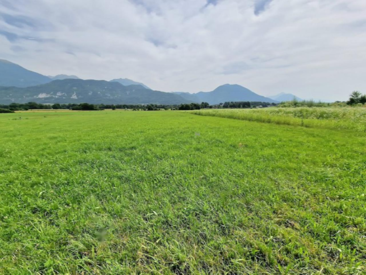 Land in Radovljica, Slovenia, 4 631 m² - picture 2