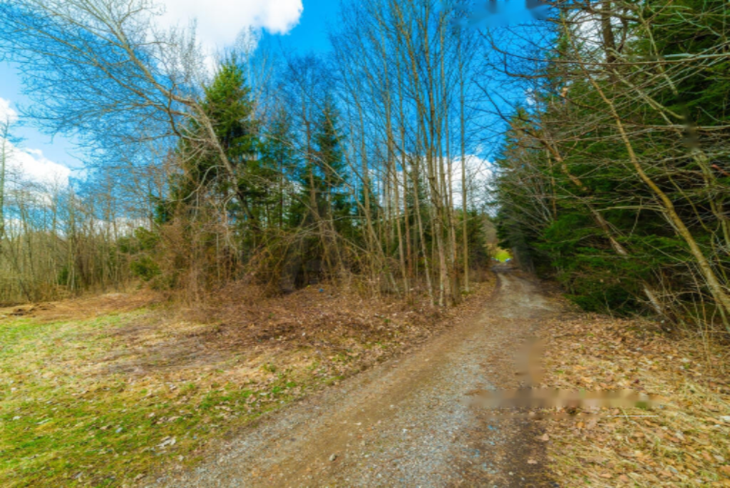 Terrain à Radovljica, Slovénie, 15 499 m² - image 2