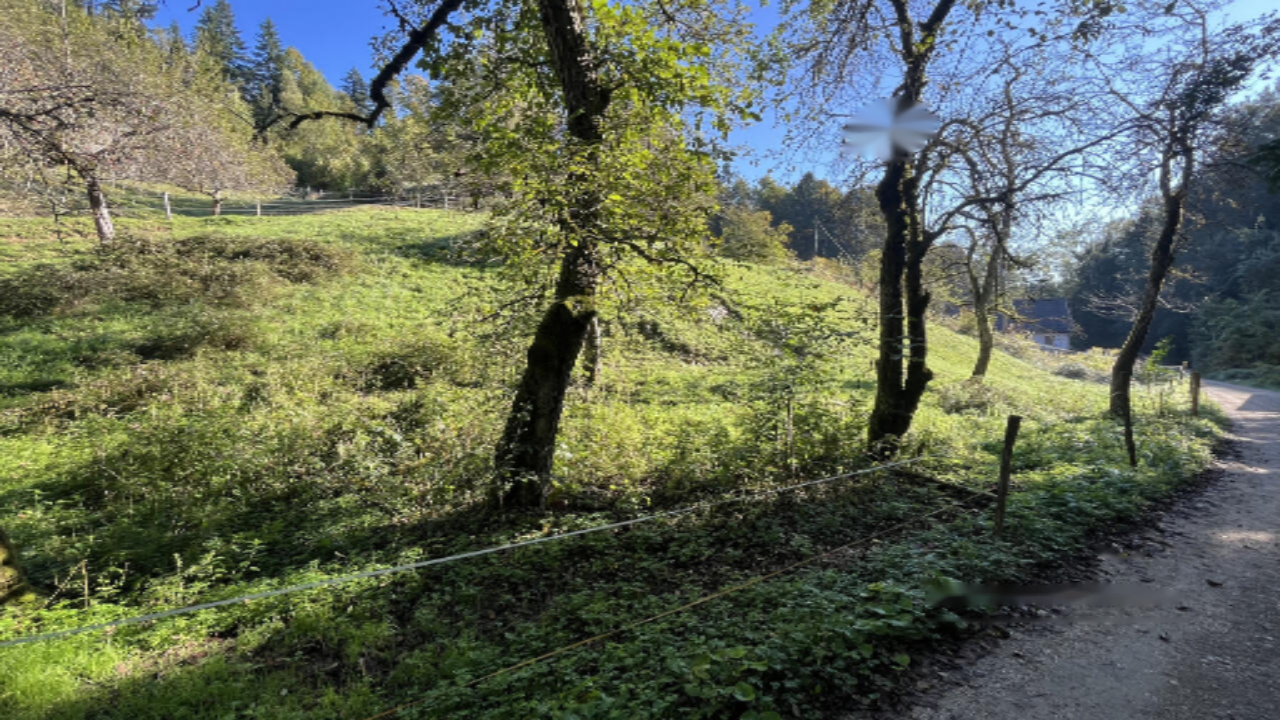 Terrain à Kranj, Slovénie, 11 586 m² - image 3