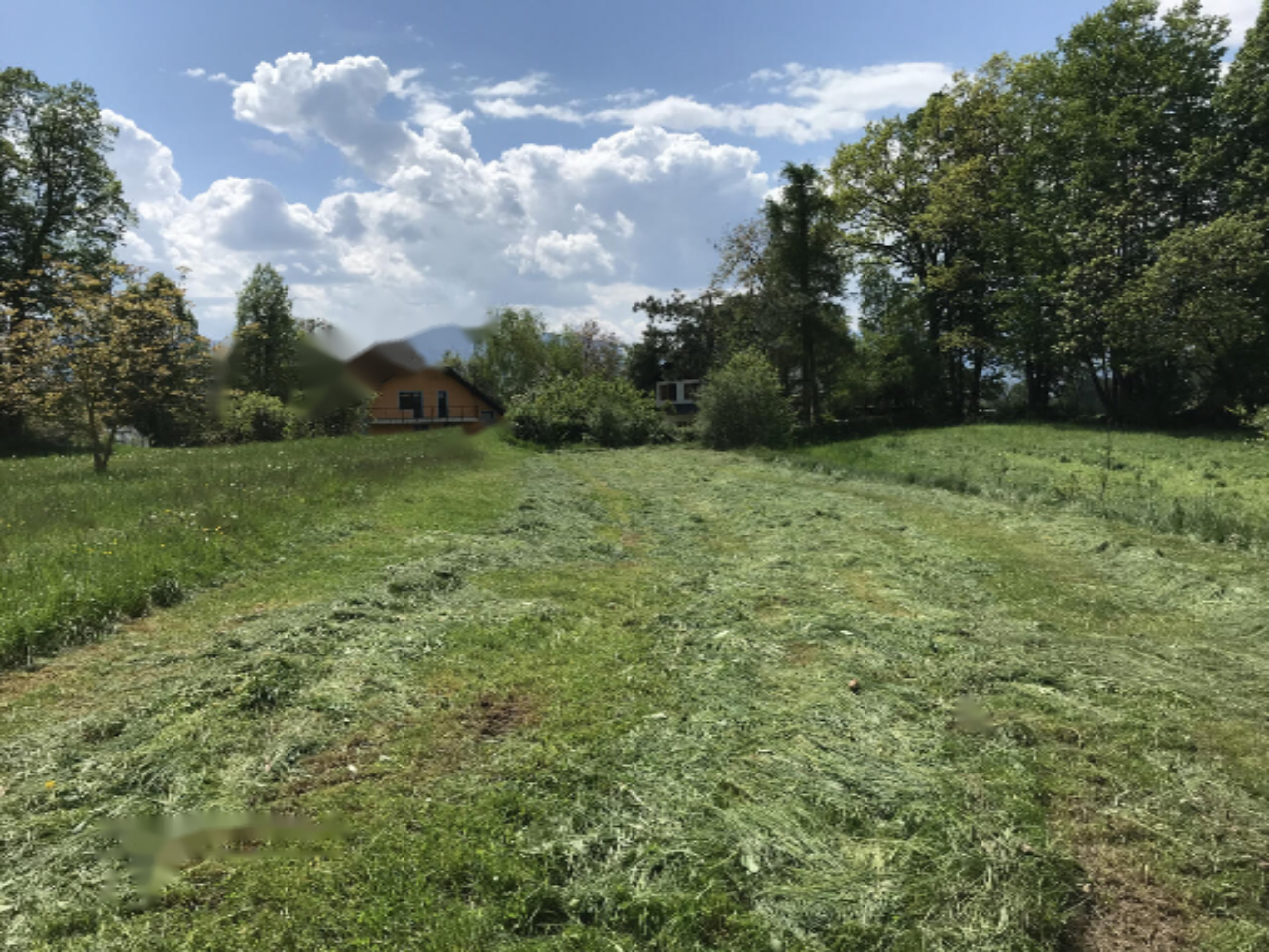 Land in Vodice, Slovenia, 13 325 m² - picture 3