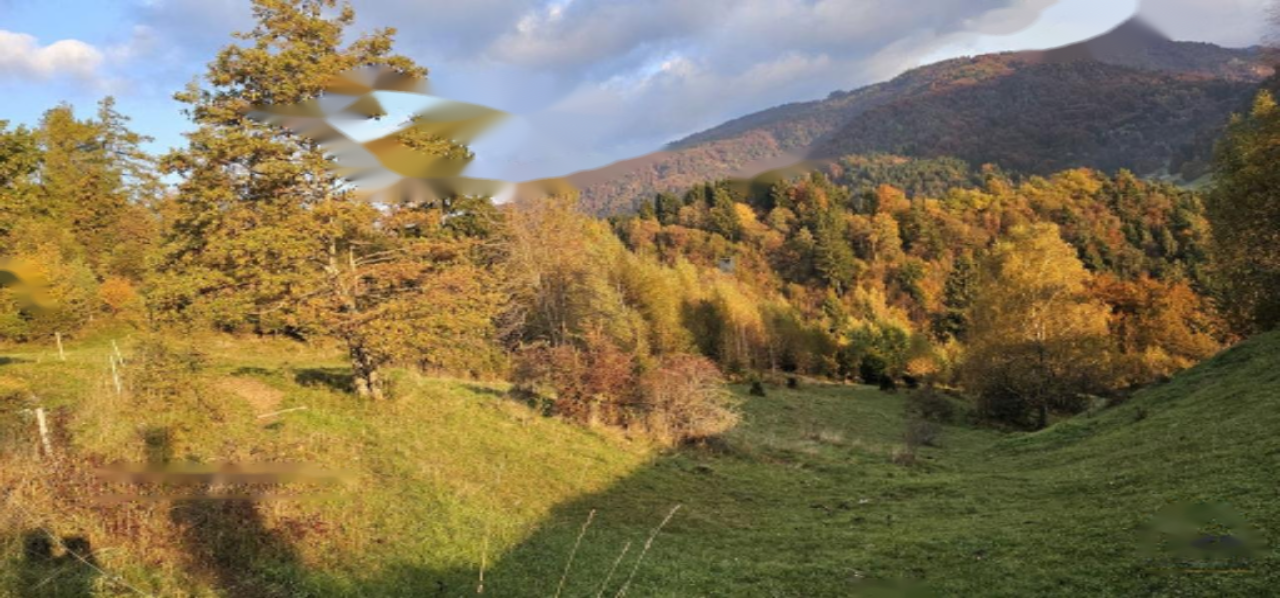 Terrain à Kranj, Slovénie, 33 465 m² - image 3