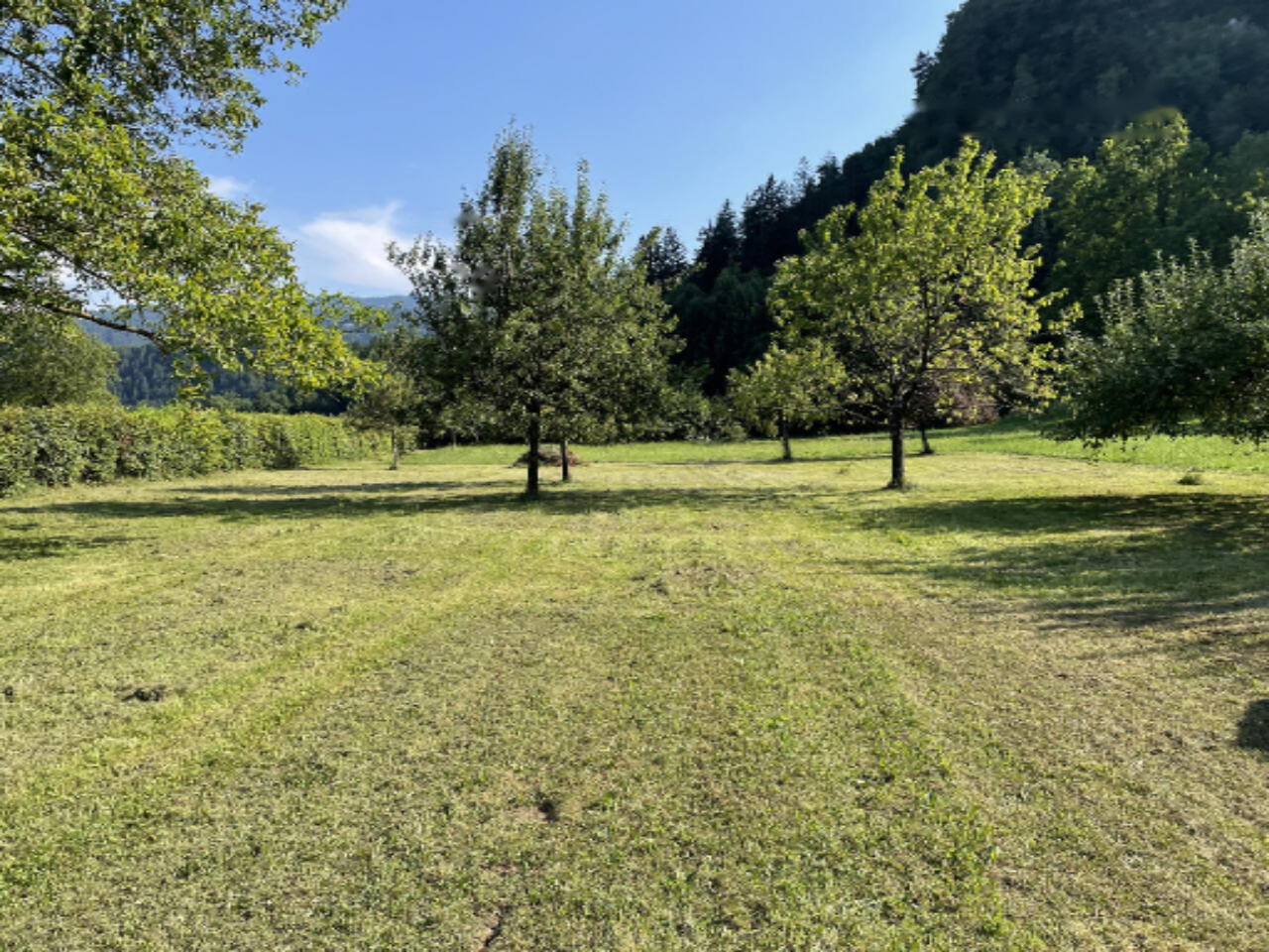 Terrain à Bled, Slovénie, 5 090 m² - image 3