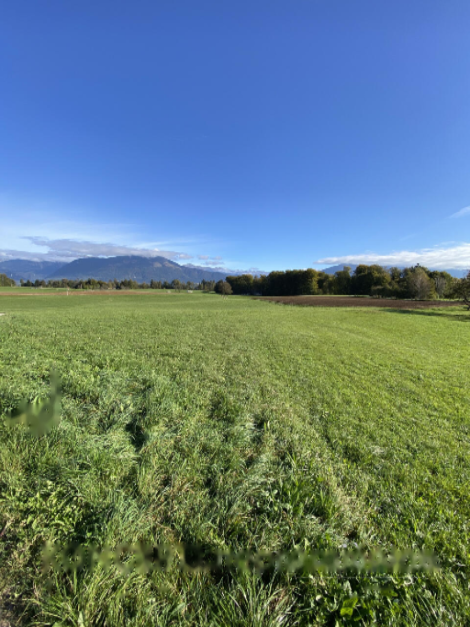 Terreno a Radovljica, Slovenia, 85 201 m2 - foto 3