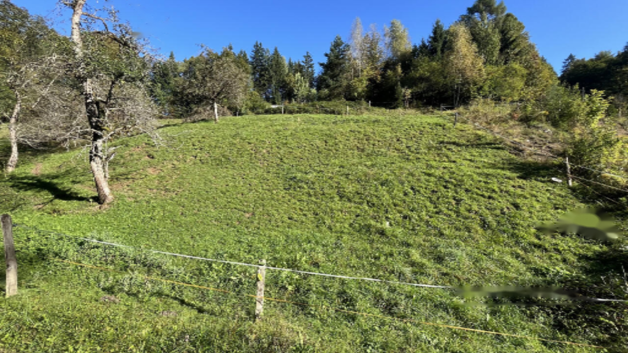 Terrain à Kranj, Slovénie, 11 586 m² - image 4